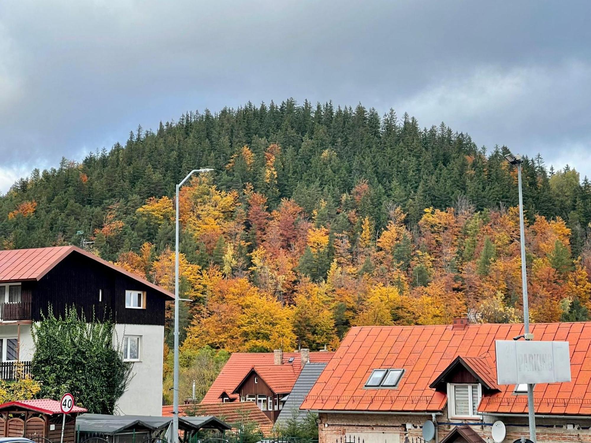 Apartamenty u Anny Karpacz Zewnętrze zdjęcie